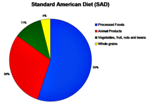 Health Is Wealth - Standard American Diet Pie Graph