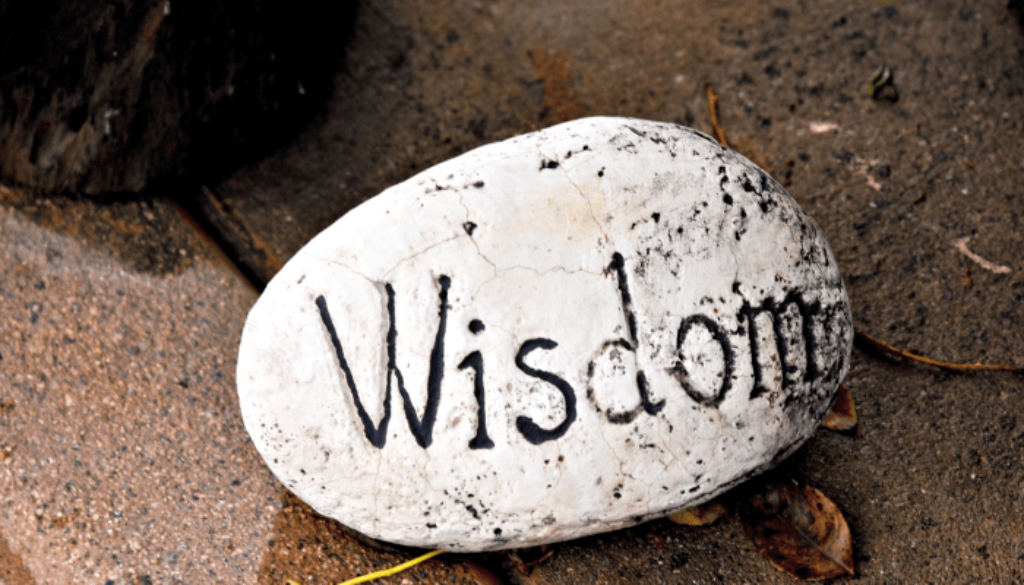 What Wisdom Reveals